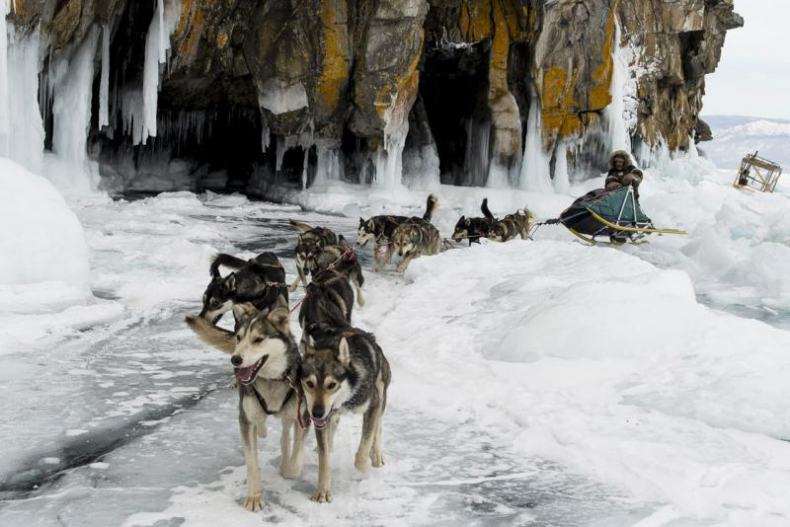 Иллюстрация к книге — Дикая одиссея. 6 000 км по Сибири, Китаю и Монголии с моими собаками [i_030.jpg]