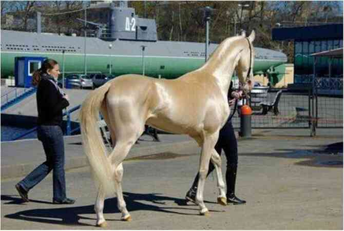 Иллюстрация к книге — Москва ельцинская. Хроники президентского правления [i_136.jpg]