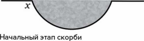 Иллюстрация к книге — Жизнь после утраты: Как справиться с горем и обрести надежду [i_003.jpg]