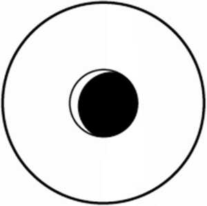 Иллюстрация к книге — Жизнь после утраты: Как справиться с горем и обрести надежду [i_013.jpg]