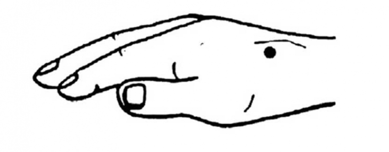 Иллюстрация к книге — Идеальное зрение без очков и операций. Восточные и западные методики естественного восстановления зрения [i_004.jpg]