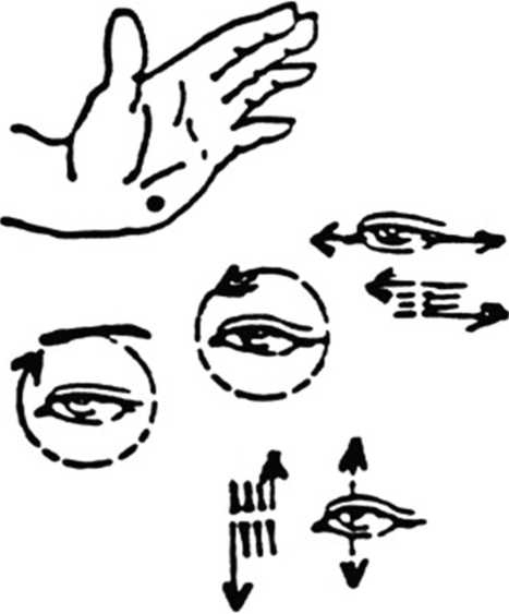 Иллюстрация к книге — Идеальное зрение без очков и операций. Восточные и западные методики естественного восстановления зрения [i_008.jpg]