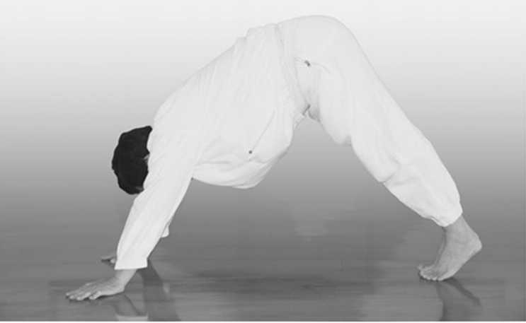 Иллюстрация к книге — Идеальное зрение без очков и операций. Восточные и западные методики естественного восстановления зрения [i_023.jpg]