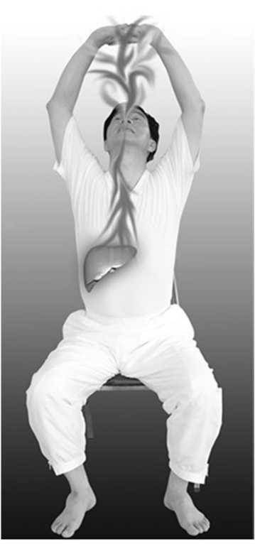 Иллюстрация к книге — Идеальное зрение без очков и операций. Восточные и западные методики естественного восстановления зрения [i_027.jpg]