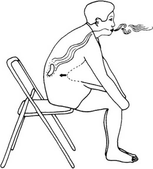 Иллюстрация к книге — Идеальное зрение без очков и операций. Восточные и западные методики естественного восстановления зрения [i_036.jpg]