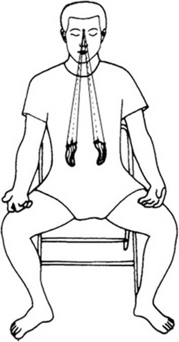 Иллюстрация к книге — Идеальное зрение без очков и операций. Восточные и западные методики естественного восстановления зрения [i_037.jpg]