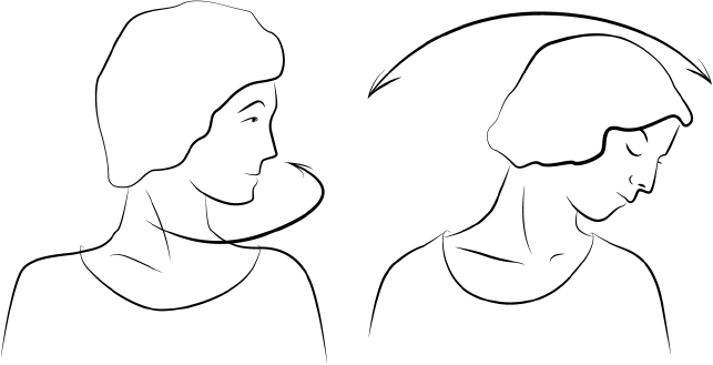 Иллюстрация к книге — Мою пол всегда руками! Эффективные упражнения и советы для тех, кто хочет прожить дольше 90 лет [i_003.jpg]