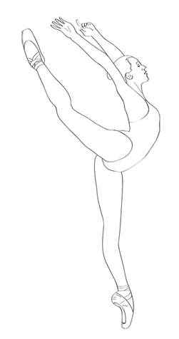 Иллюстрация к книге — Внутривенно. Что происходит с сосудами, по которым движется ваша кровь, как вылечить то, что уже болит, и не допустить проблем в будущем [i_018.jpg]