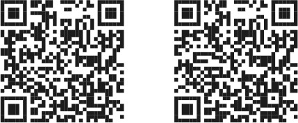 Иллюстрация к книге — Викинги. История эпохи. 793–1066 [i_046.jpg]