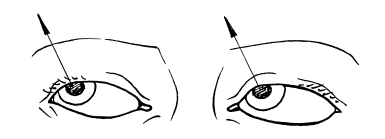 Иллюстрация к книге — Сохраните зрение! Лечебная гимнастика по Фохтину против близорукости, дальнозоркости, глаукомы, катаракты [i_018.jpg]