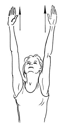 Иллюстрация к книге — Сохраните зрение! Лечебная гимнастика по Фохтину против близорукости, дальнозоркости, глаукомы, катаракты [i_044.jpg]