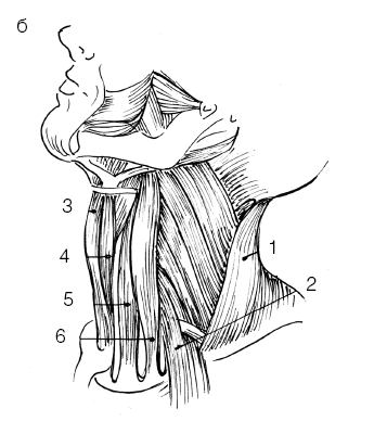 Иллюстрация к книге — Сохраните зрение! Лечебная гимнастика по Фохтину против близорукости, дальнозоркости, глаукомы, катаракты [i_057.jpg]