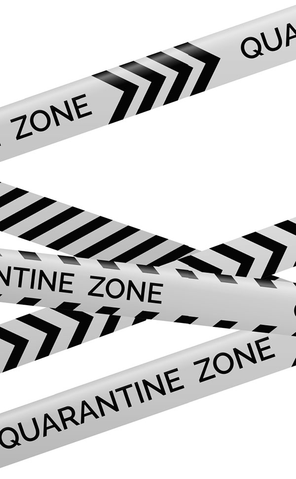 Иллюстрация к книге — Год первый [i_001.jpg]