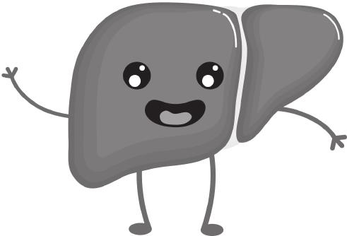 Иллюстрация к книге — О чем молчит печень. Как уловить сигналы самого крупного внутреннего органа, который предпочитает оставаться в тени [i_001.jpg]