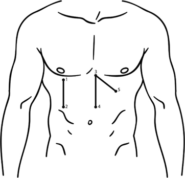 Иллюстрация к книге — О чем молчит печень. Как уловить сигналы самого крупного внутреннего органа, который предпочитает оставаться в тени [i_002.jpg]