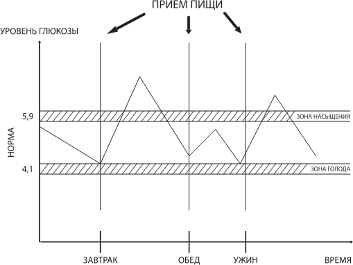 Иллюстрация к книге — О чем молчит печень. Как уловить сигналы самого крупного внутреннего органа, который предпочитает оставаться в тени [i_008.jpg]