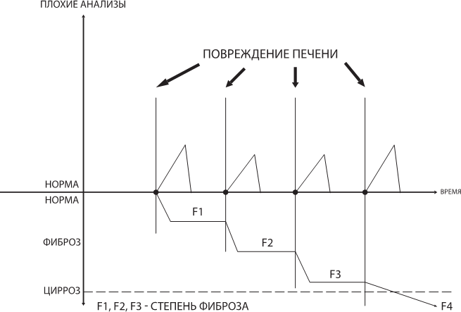 Иллюстрация к книге — О чем молчит печень. Как уловить сигналы самого крупного внутреннего органа, который предпочитает оставаться в тени [i_014.jpg]