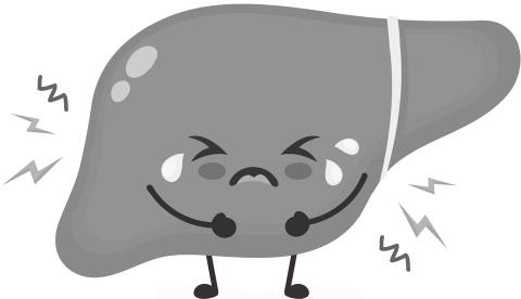 Иллюстрация к книге — О чем молчит печень. Как уловить сигналы самого крупного внутреннего органа, который предпочитает оставаться в тени [i_015.jpg]