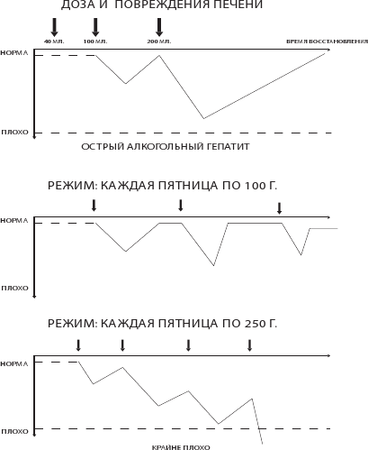 Иллюстрация к книге — О чем молчит печень. Как уловить сигналы самого крупного внутреннего органа, который предпочитает оставаться в тени [i_028.jpg]