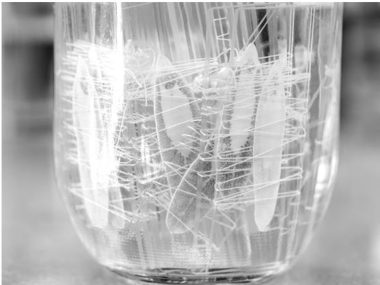 Иллюстрация к книге — О чем молчит печень. Как уловить сигналы самого крупного внутреннего органа, который предпочитает оставаться в тени [i_071.jpg]