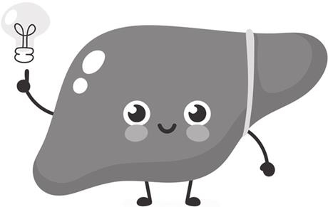 Иллюстрация к книге — О чем молчит печень. Как уловить сигналы самого крупного внутреннего органа, который предпочитает оставаться в тени [i_091.jpg]