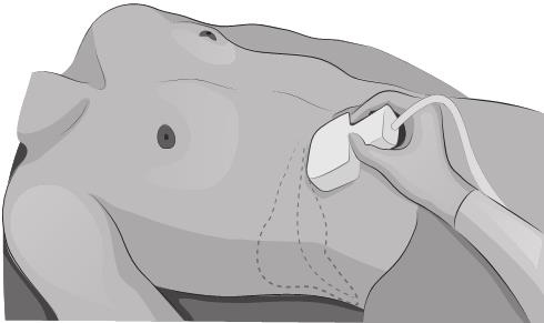 Иллюстрация к книге — О чем молчит печень. Как уловить сигналы самого крупного внутреннего органа, который предпочитает оставаться в тени [i_097.jpg]