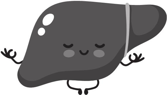 Иллюстрация к книге — О чем молчит печень. Как уловить сигналы самого крупного внутреннего органа, который предпочитает оставаться в тени [i_101.jpg]