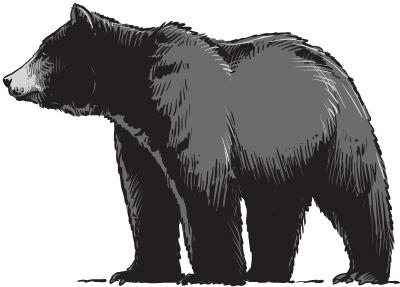 Иллюстрация к книге — О чем молчит печень. Как уловить сигналы самого крупного внутреннего органа, который предпочитает оставаться в тени [i_123.jpg]