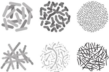 Иллюстрация к книге — О чем молчит печень. Как уловить сигналы самого крупного внутреннего органа, который предпочитает оставаться в тени [i_127.jpg]