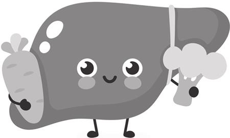 Иллюстрация к книге — О чем молчит печень. Как уловить сигналы самого крупного внутреннего органа, который предпочитает оставаться в тени [i_129.jpg]