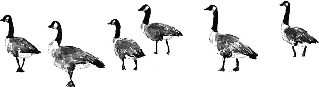 Иллюстрация к книге — Писатели и любовники [i_003.jpg]