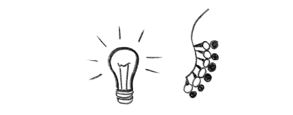 Иллюстрация к книге — История зрения: путь от светочувствительности до глаза [i_006.jpg]