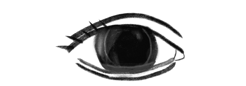 Иллюстрация к книге — История зрения: путь от светочувствительности до глаза [i_008.jpg]