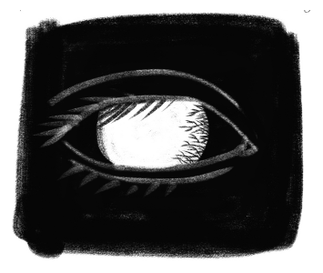 Иллюстрация к книге — История зрения: путь от светочувствительности до глаза [i_009.jpg]