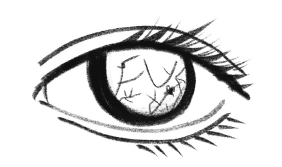 Иллюстрация к книге — История зрения: путь от светочувствительности до глаза [i_015.jpg]