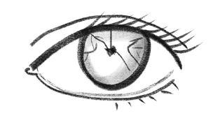 Иллюстрация к книге — История зрения: путь от светочувствительности до глаза [i_016.jpg]