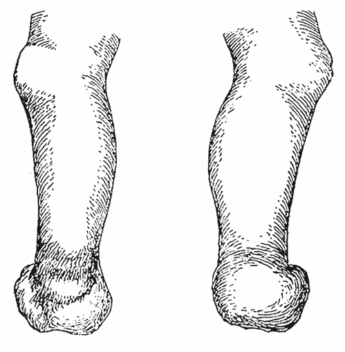 Иллюстрация к книге — Спасая жизни. Дневник военного хирурга [i_005.jpg]
