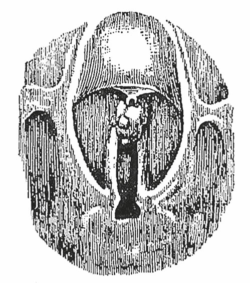Иллюстрация к книге — Спасая жизни. Дневник военного хирурга [i_010.jpg]