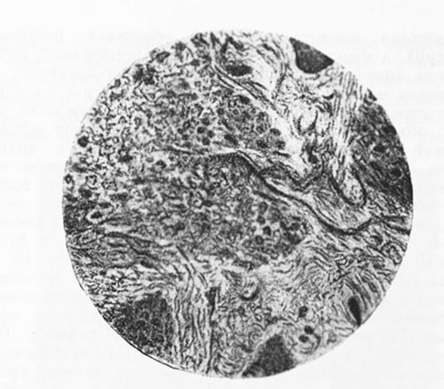 Иллюстрация к книге — Спасая жизни. Дневник военного хирурга [i_016.jpg]