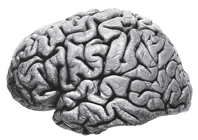 Иллюстрация к книге — Эта странная математика. На краю бесконечности и за ним [i_002.jpg]