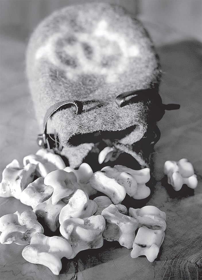 Иллюстрация к книге — Эта странная математика. На краю бесконечности и за ним [i_005.jpg]