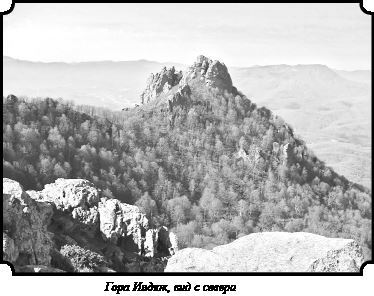 Иллюстрация к книге — Стратегия Второй мировой. Восточный фронт [i_040.jpg]