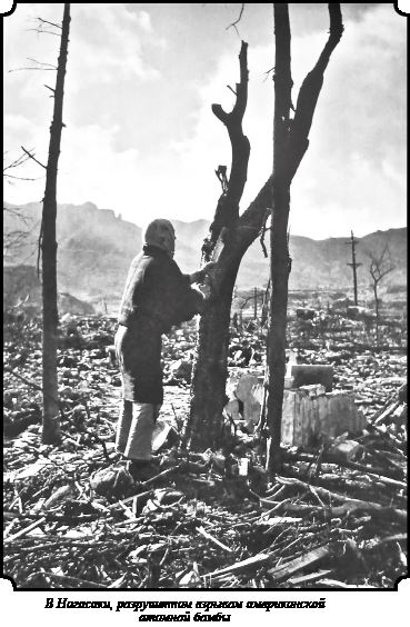 Иллюстрация к книге — Стратегия Второй мировой. Восточный фронт [i_196.jpg]