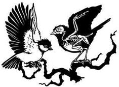 Иллюстрация к книге — Навия. Проклятие [i_001.jpg]