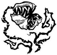 Иллюстрация к книге — Навия. Проклятие [i_003.jpg]