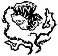 Иллюстрация к книге — Навия. Проклятие [i_027.jpg]