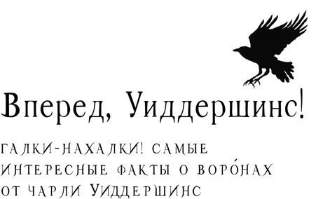 Иллюстрация к книге — Горстка волшебства [i_003.jpg]