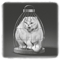 Иллюстрация к книге — Вундермастер. Призвание Морриган Кроу [i_035.jpg]