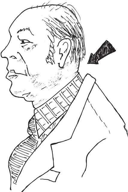 Иллюстрация к книге — Класс: путеводитель по статусной системе Америки [img8ceebd35f7fb449d8a0ef177629992d2.jpg]