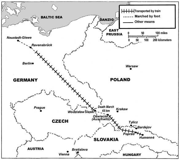 Иллюстрация к книге — Клятва. История сестер, выживших в Освенциме [i_002.jpg]